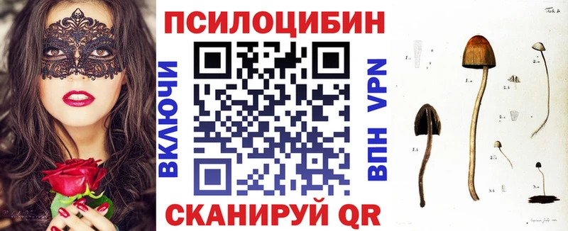Купить закладки  Семёнов  Псилоцибиновые грибы Psilocybine cubensis 